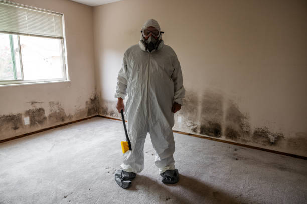 Home Mold Removal in West Orange, TX