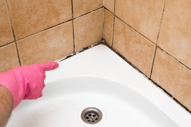 Best Emergency Mold Removal  in West Orange, TX